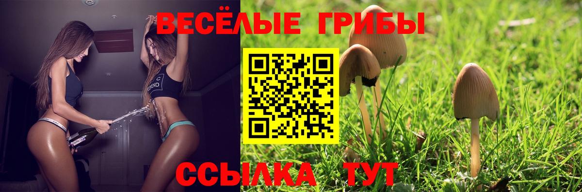 Псилоцибиновые грибы мухоморы  Вход с VPN  Камень-на-Оби 