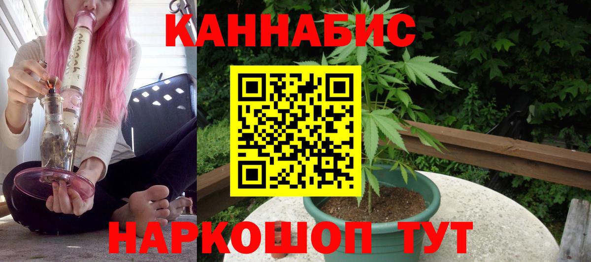 Камень-на-Оби  Конопля гибрид  Вход с VPN  Канабис White Widow 